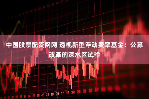 中国股票配资网网 透视新型浮动费率基金：公募改革的深水区试验