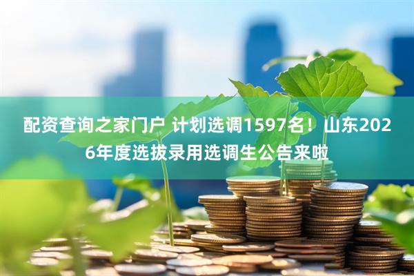 配资查询之家门户 计划选调1597名！山东2026年度选拔录用选调生公告来啦
